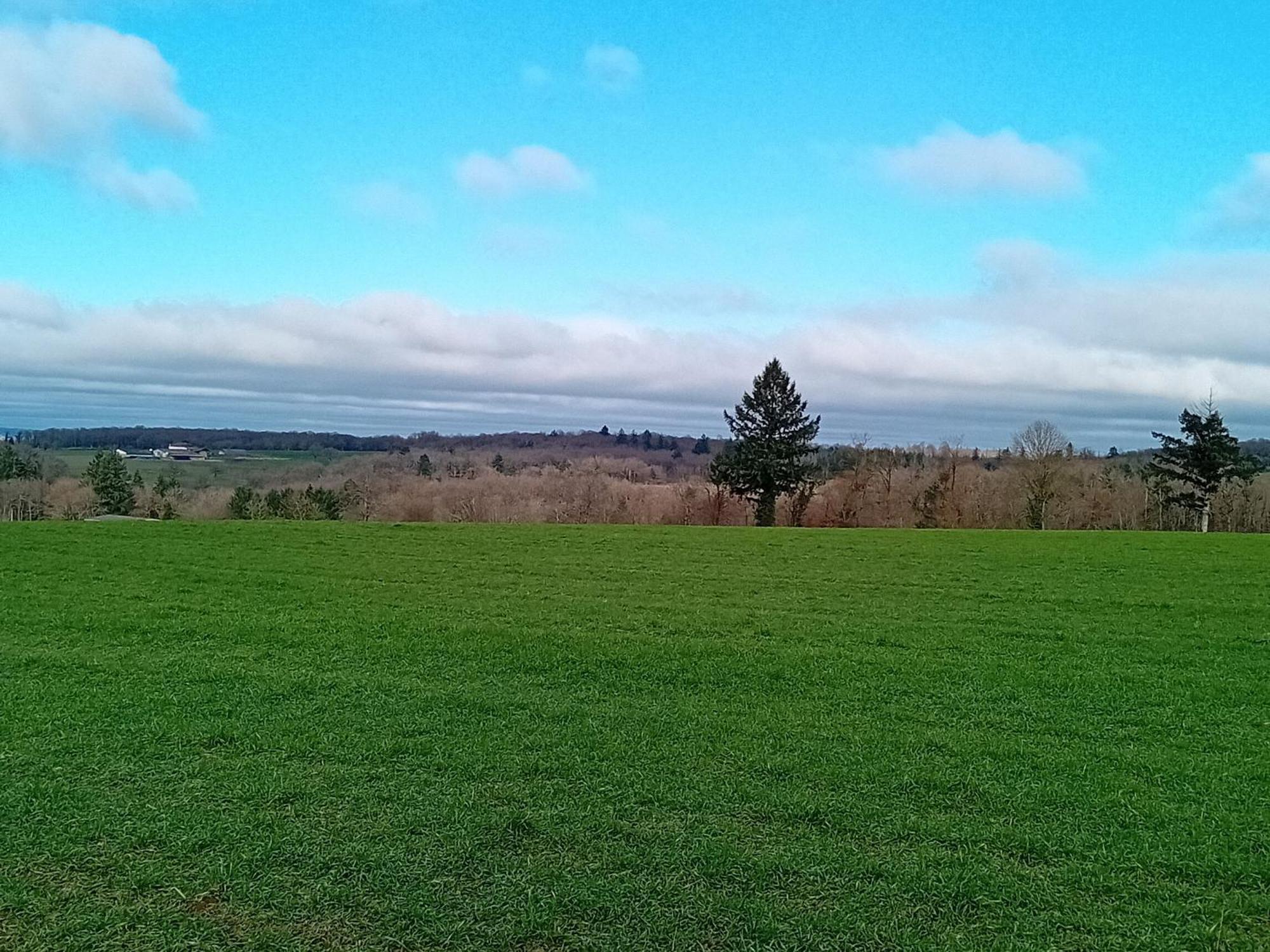Tranquille Vienne Gites A Chirac Dept Charente Exterior photo