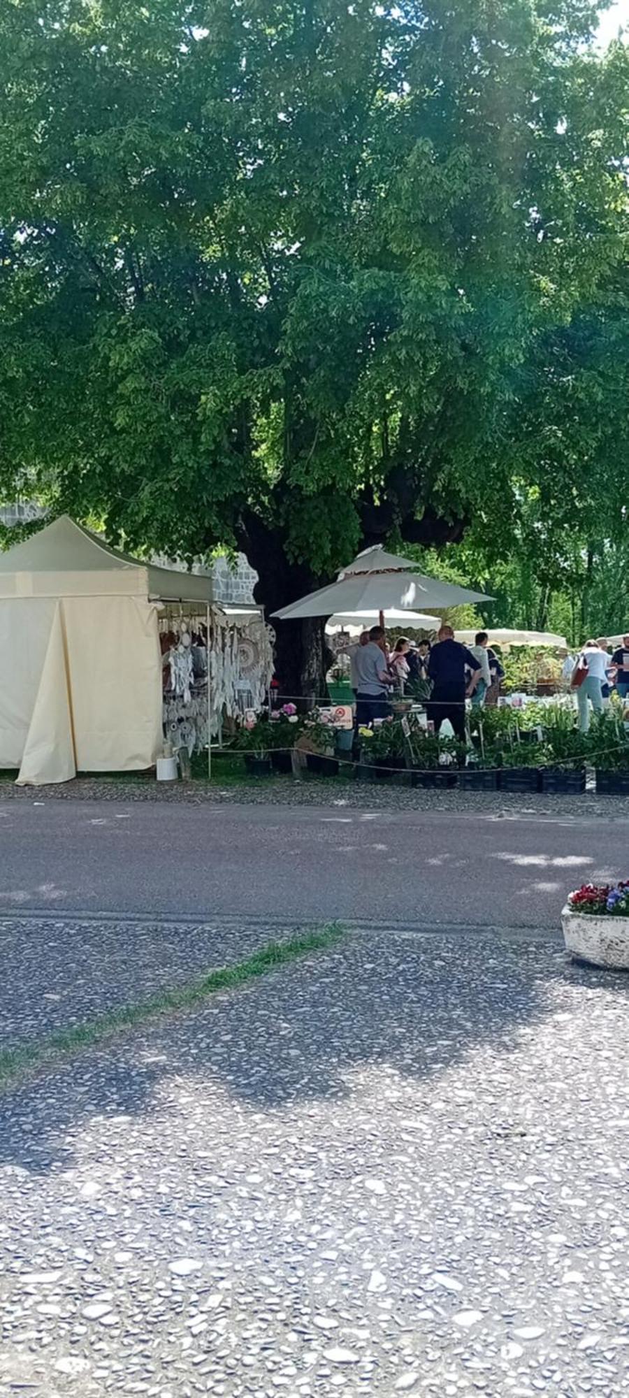 Tranquille Vienne Gites A Chirac Dept Charente Exterior photo